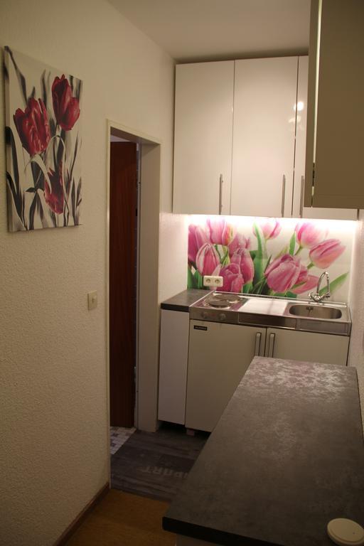 4 Moderne Fewo Nowak-Bals Zur Auswahl Braunlage Room photo