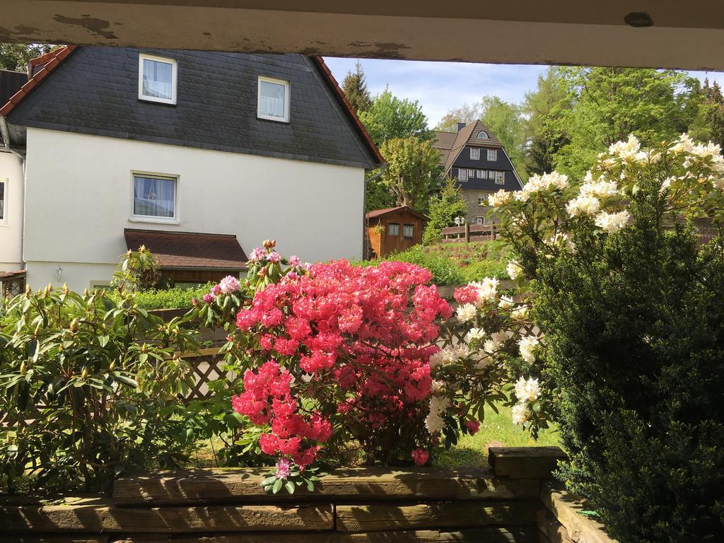 4 Moderne Fewo Nowak-Bals Zur Auswahl Braunlage Exterior photo